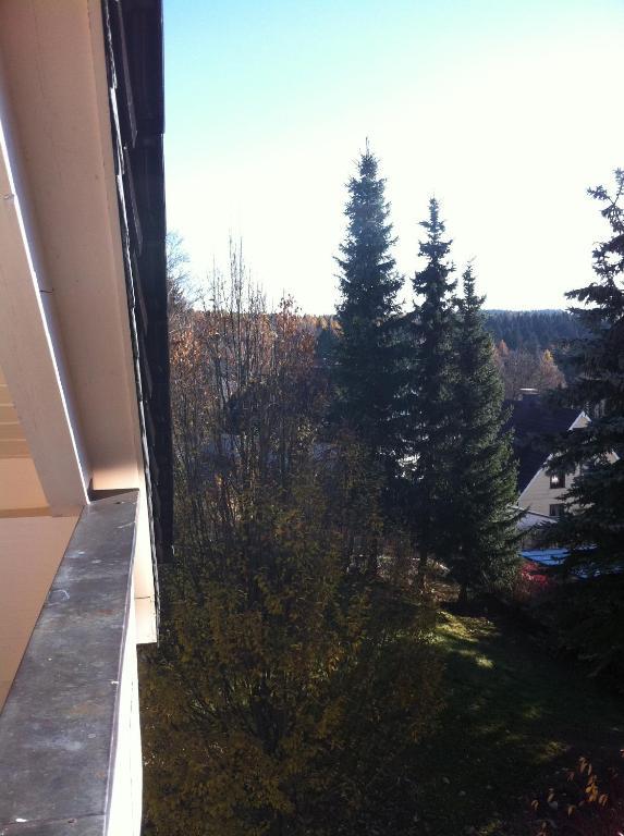 Concordia Harzapart Braunlage Εξωτερικό φωτογραφία