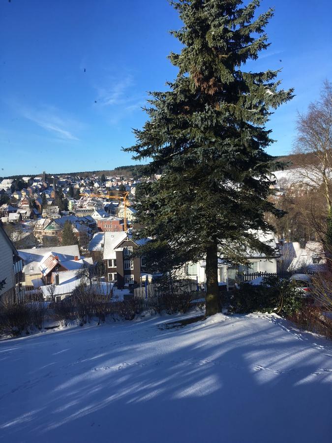 Concordia Harzapart Braunlage Εξωτερικό φωτογραφία