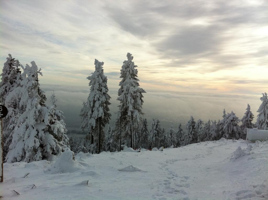 Concordia Harzapart Braunlage Εξωτερικό φωτογραφία