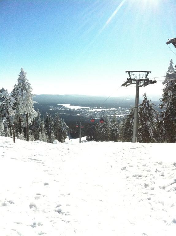 Concordia Harzapart Braunlage Εξωτερικό φωτογραφία