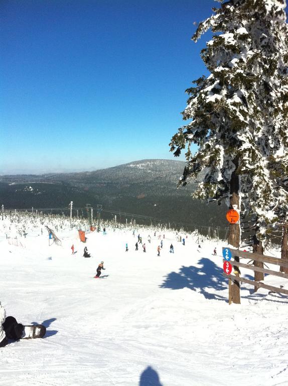 Concordia Harzapart Braunlage Εξωτερικό φωτογραφία