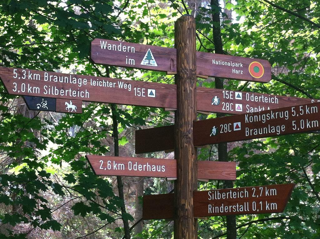Concordia Harzapart Braunlage Εξωτερικό φωτογραφία
